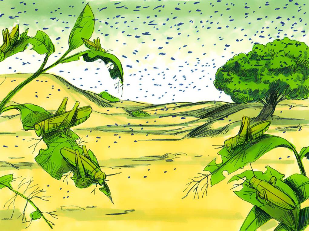 Communication on this topic: How to Get Rid of Frogs, how-to-get-rid-of-frogs/ Forum on this topic: How to Get Rid of Frogs, how-to-get-rid-of-frogs/
