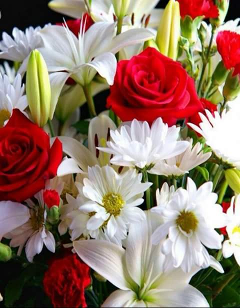 திரு SK (செந்தில்குமார்) அவர்கள் நிர்வாக குழுவில் இணைப்பு. Chellapandian%2Bwishes%2B2015