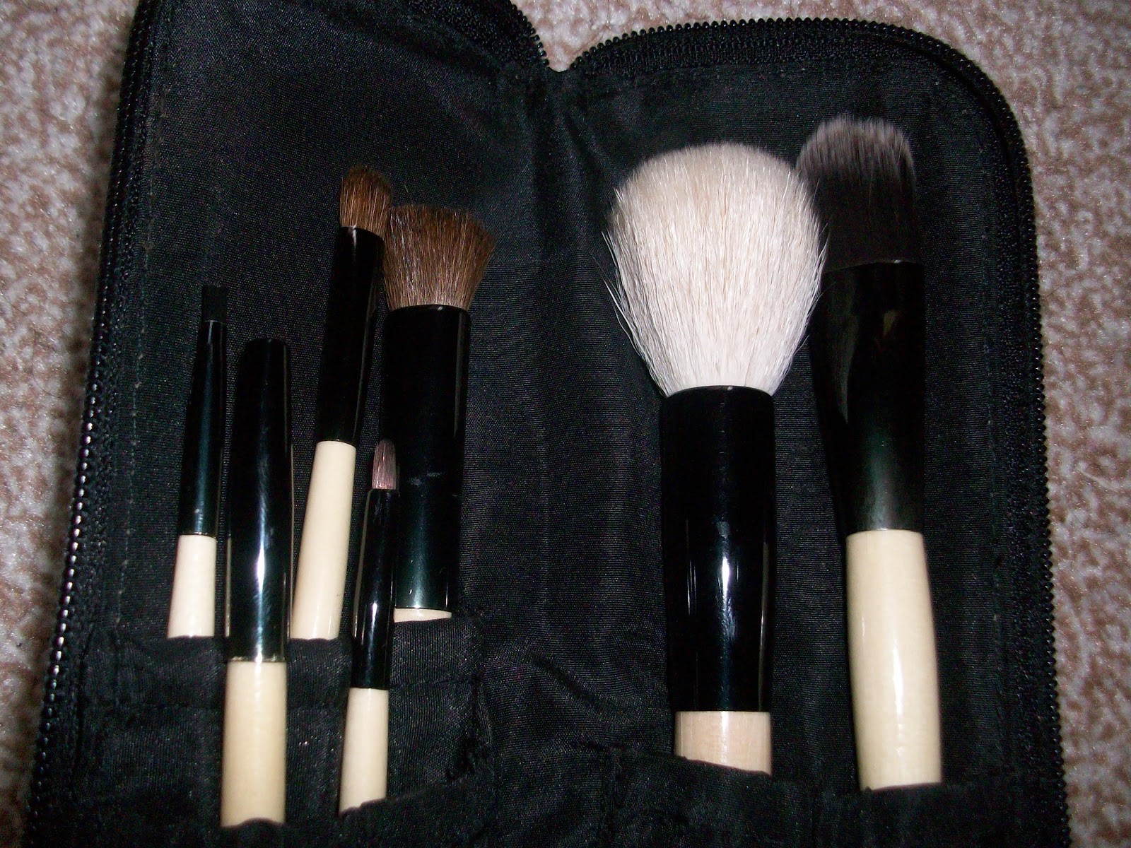 Brush Review Blush Beauty Travel Brush set