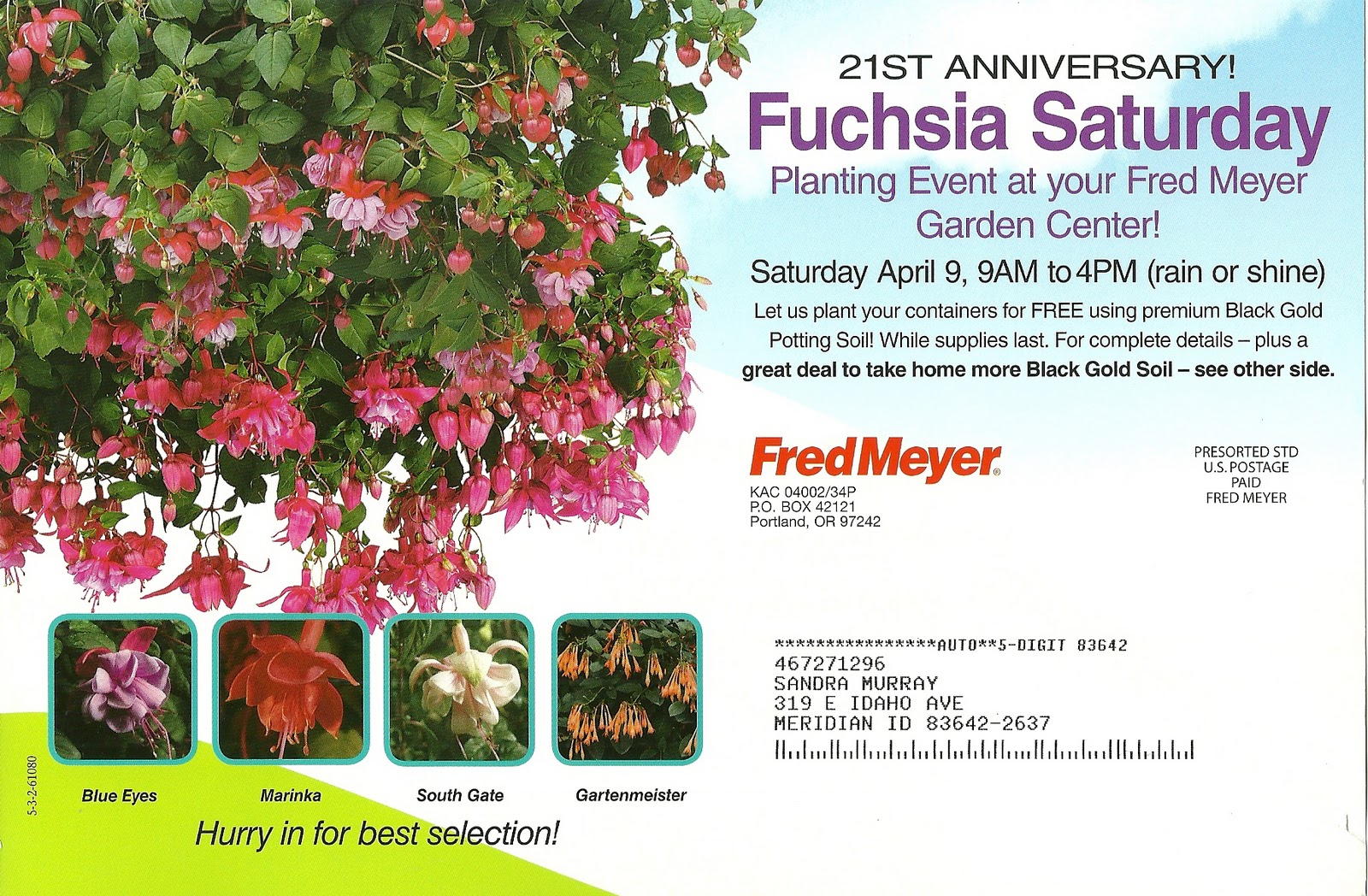 Happy Clean Living Fred Meyer Fuchsia Saturday
