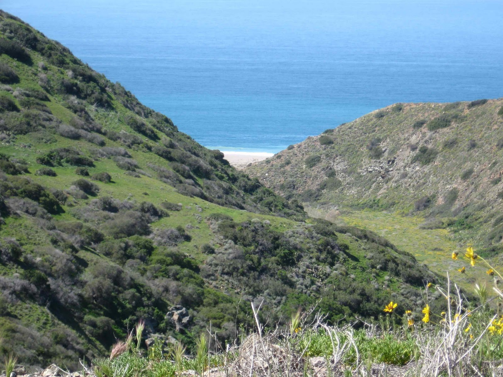 A Hiking Diary of Catalina Ben Weston Beach for Thanksgiving