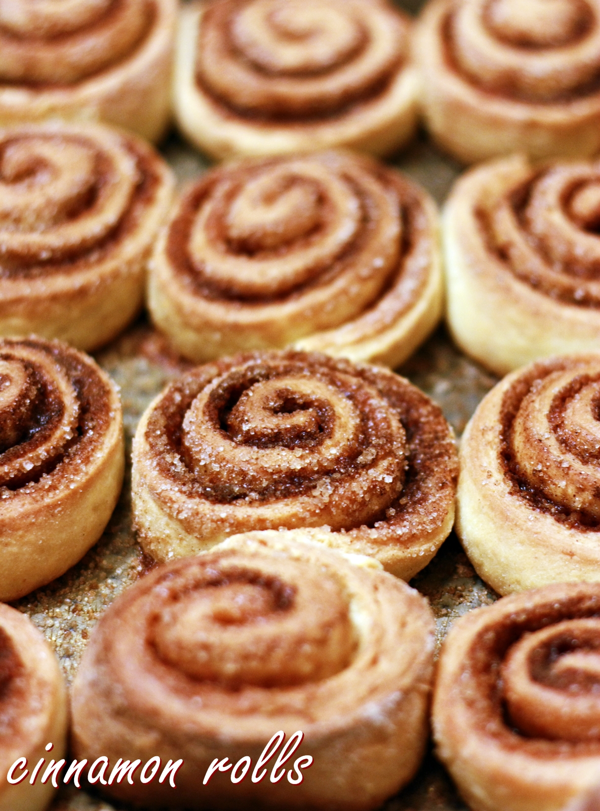 cooking is my escape szesnastolatka w kuchni cinnamon rolls!