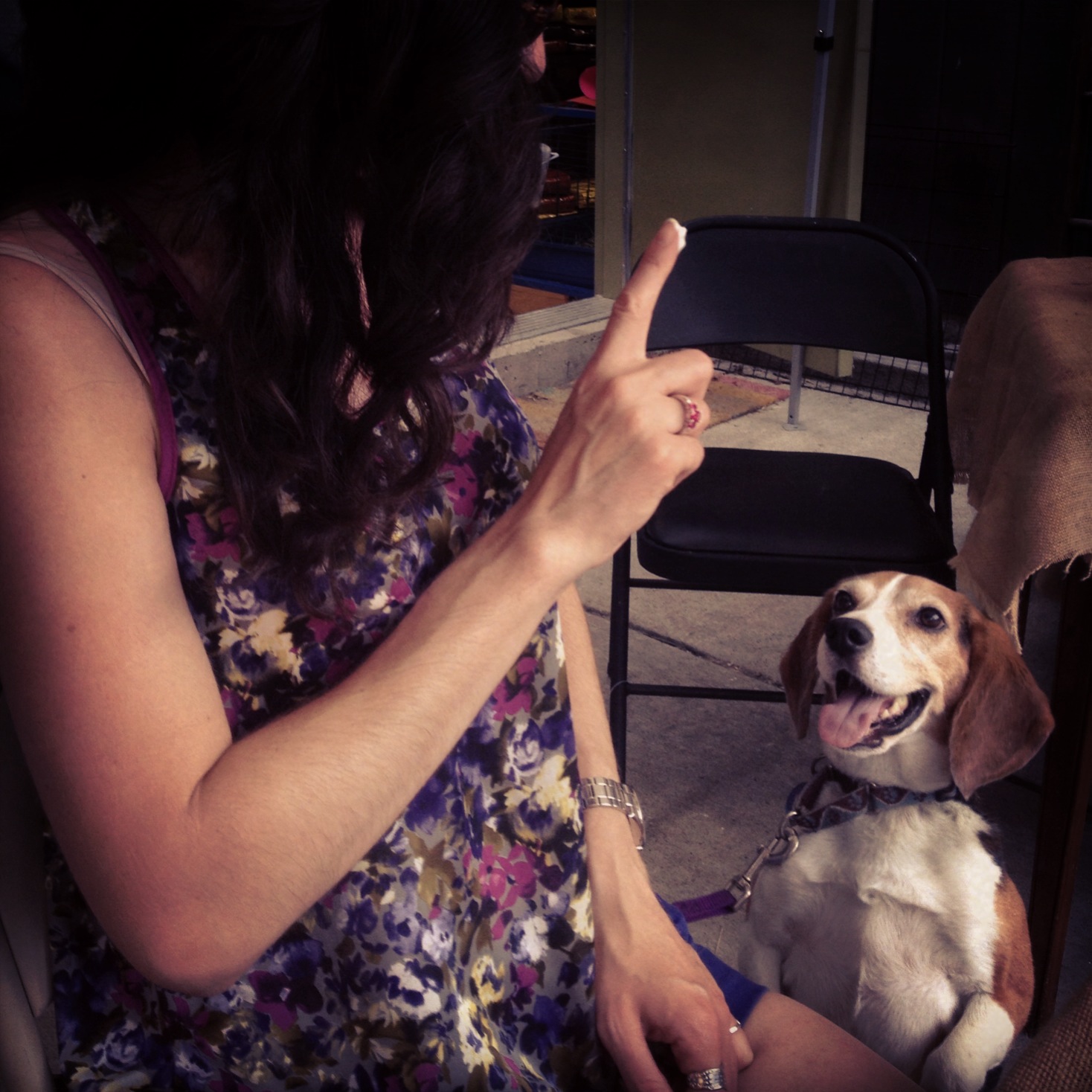 MissAdventures in Pittsburgh DogFriendly Dining in Pittsburgh