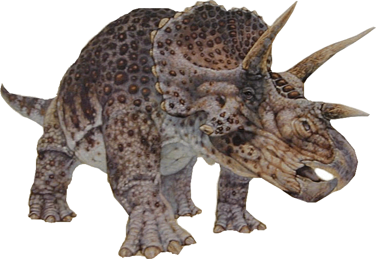 Triceratops.jpg