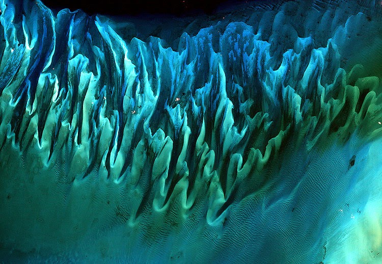Greg Patch Ocean sands and seaweeds satellite image of the Bahamas