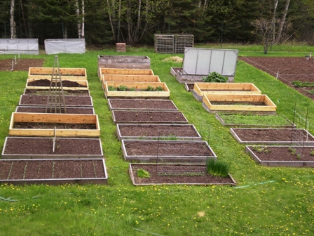 A Home Grown Journal: The Garden on September 1, 2013