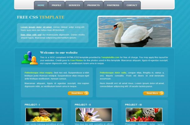 Free HTML Blue Nature CSS Website Template