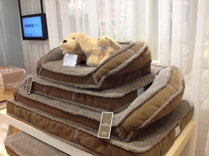 Difference Between Dog Bed And Pillows Difference Between Dog Bed And Pillows