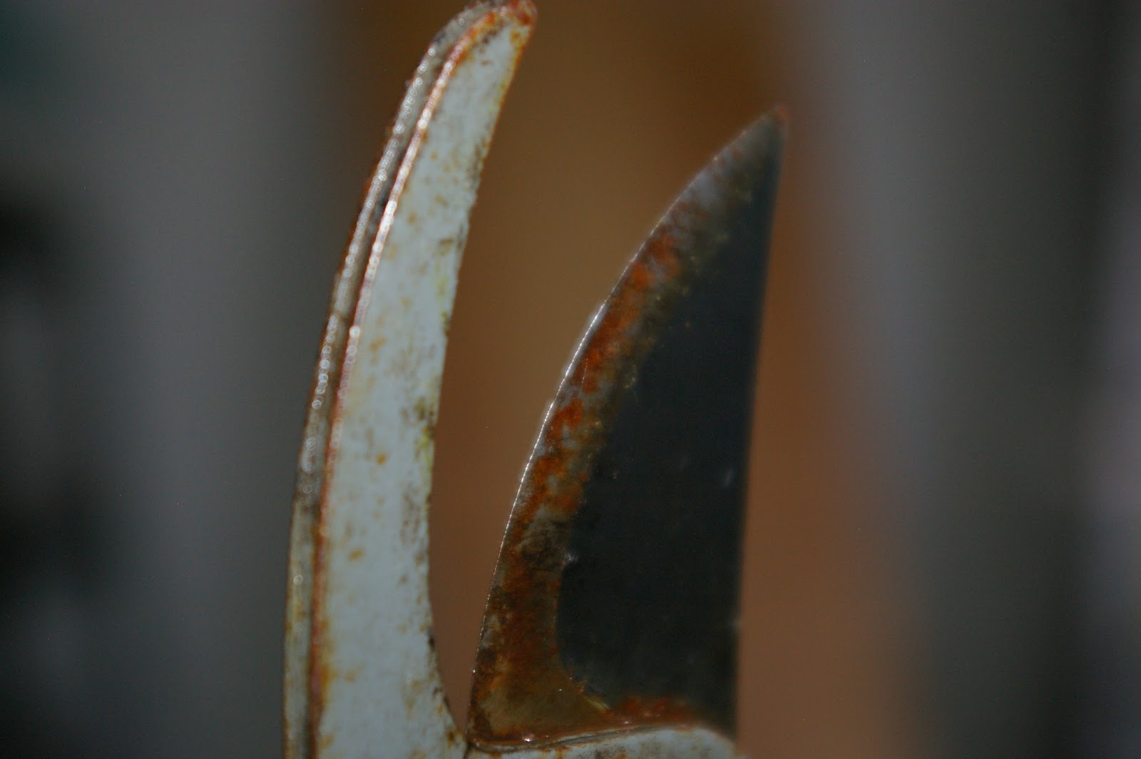 A Better Life How to Sharpen Loppers and HandPruners