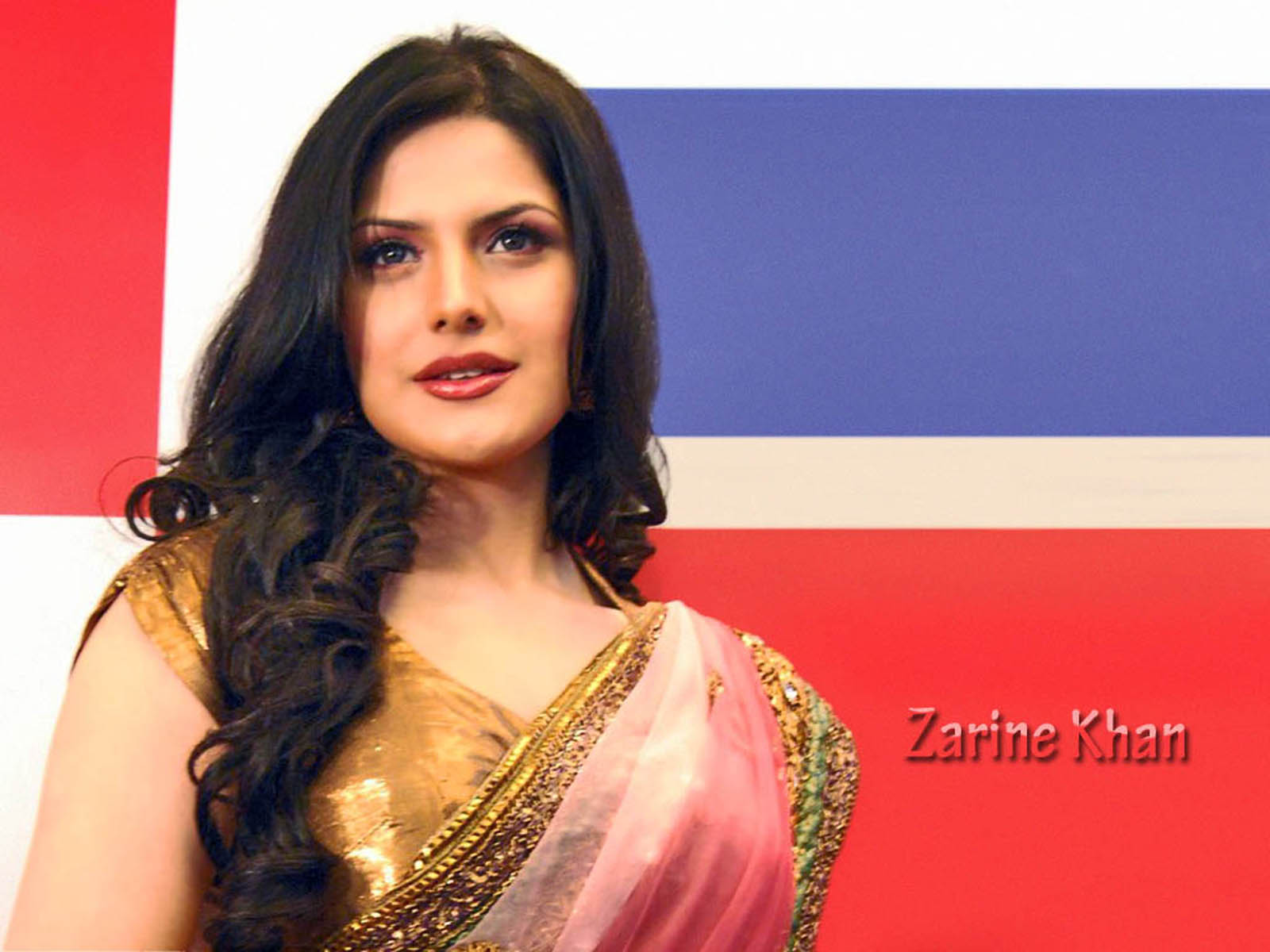 Zarine Khan Traditional Wallpapers ~ All Heroines Photos