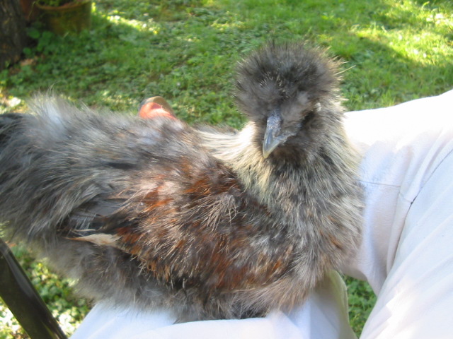 Naglern Ranch Oktober 2011