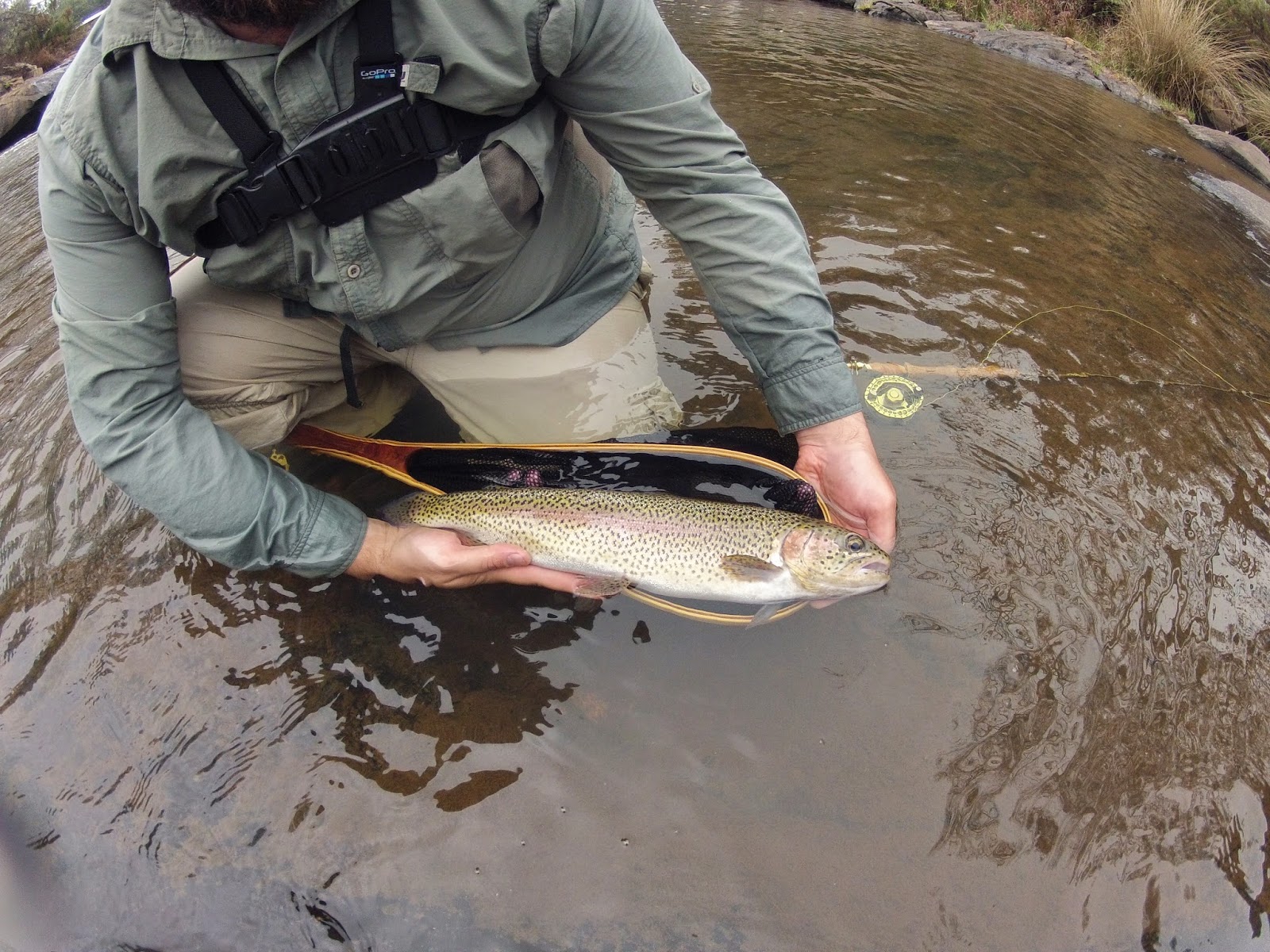 Zwakala River Retreat Rainbow Trout caught in the Broederstroom River