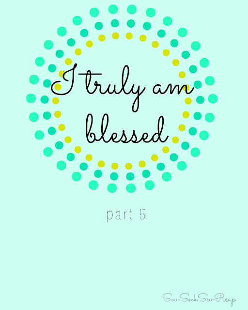 http://sowseeksewreap.blogspot.com/2013/05/i-truly-am-blessed-pt-5-steadfast-to.html