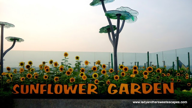 Sunflower Garden at Terminal 2 Changi Airport Singapore