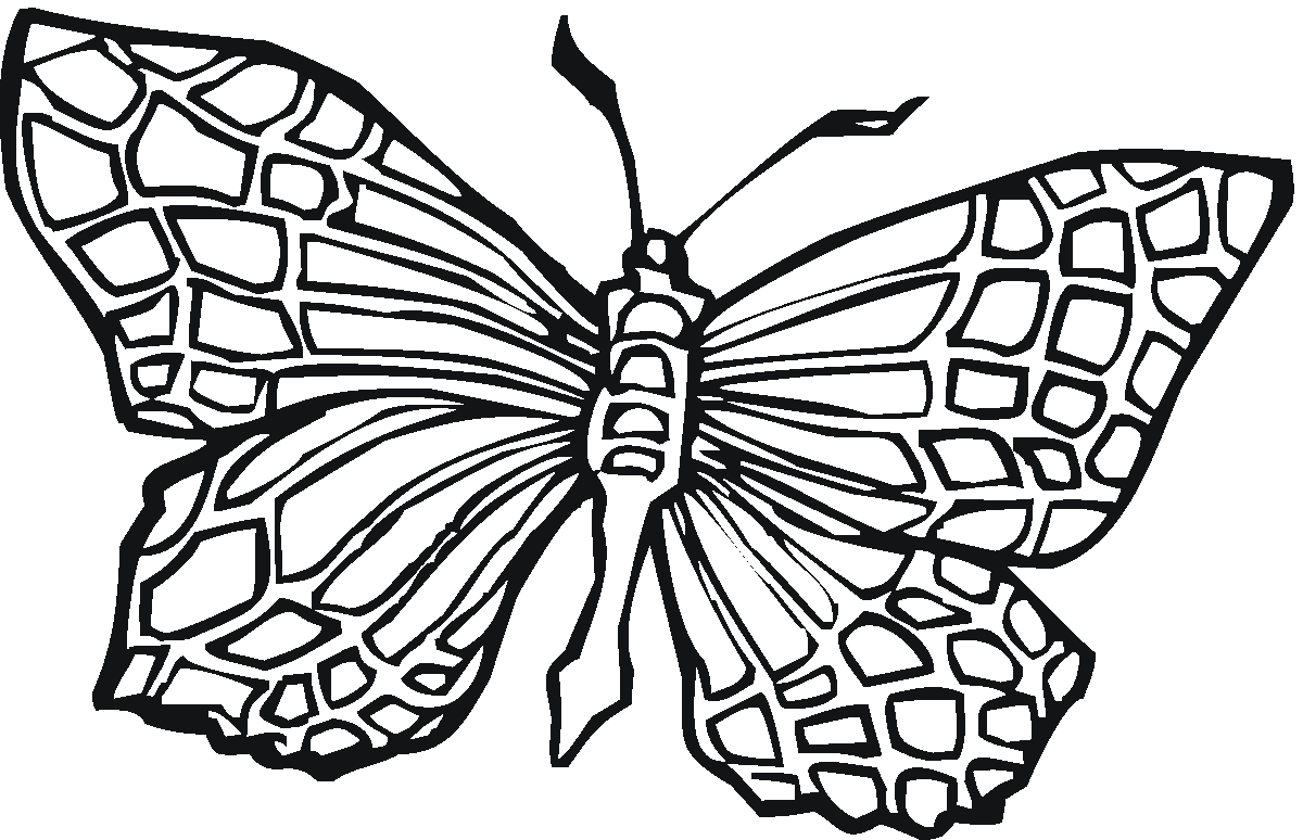 Coloring Pages: Butterfly Free Printable Coloring Pages Free and Printable