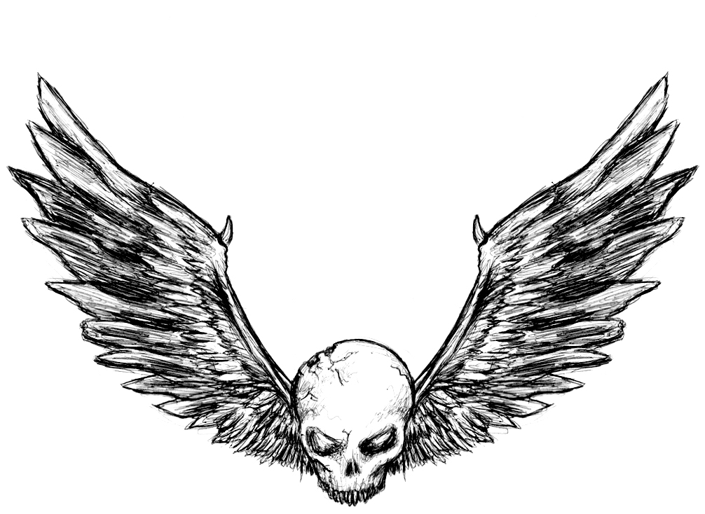 Free Images Online: Skull and wings drawing