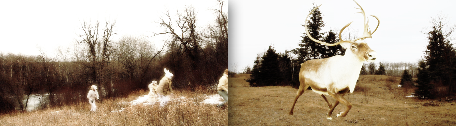 Jillian McDonald, The Thaw