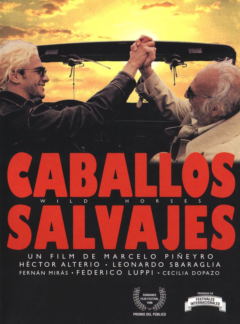 Los Salvajes (2012)