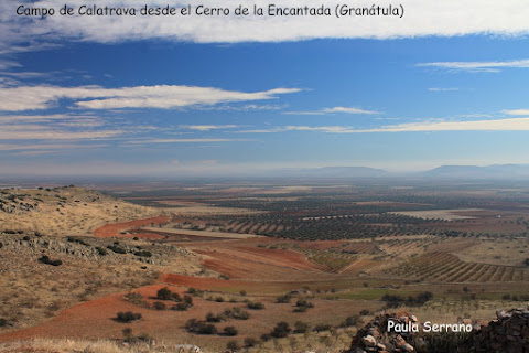 La Provincia de Ciudad Real vista por los Alumnos 17-18