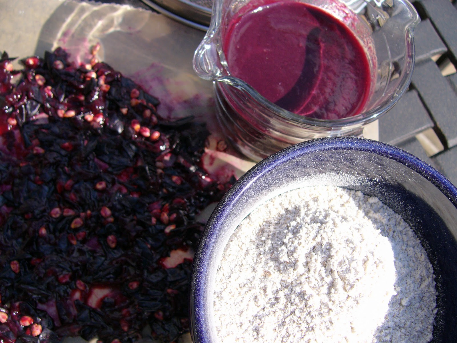 Tebasiles Kitchen Wild Grape Sourdough Starter