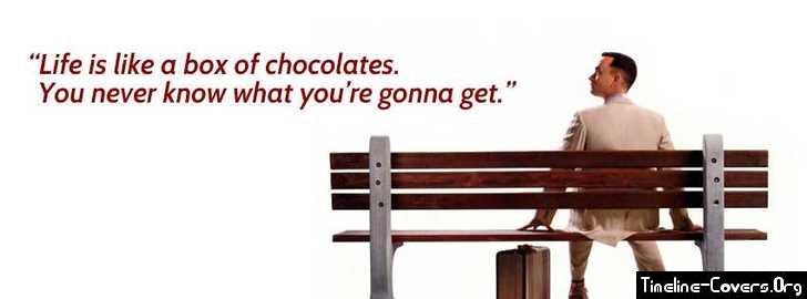 Gumps musical box of chocolates essay 08 image