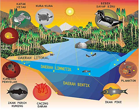 Temukan Pengertian: Pengertian Keanekaragaman ekosistem