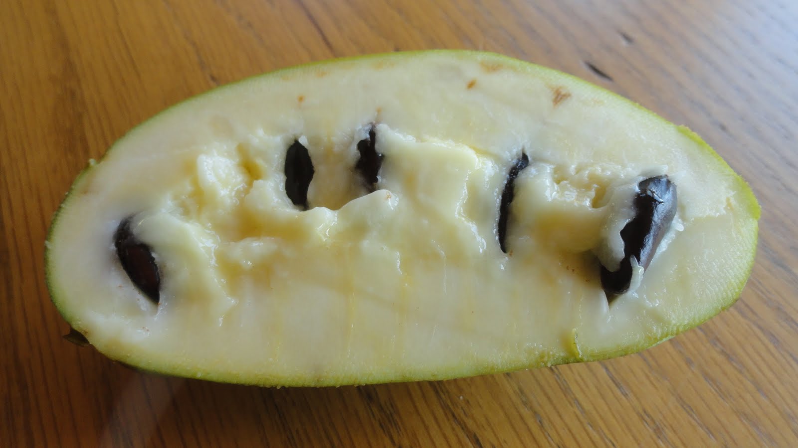 Life at the Blue Rock Ranch Paw Paws are Ripe