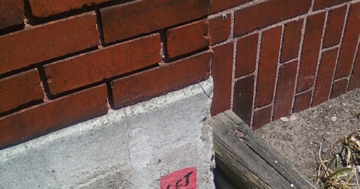 Albany (NY) Daily Photo Let Go