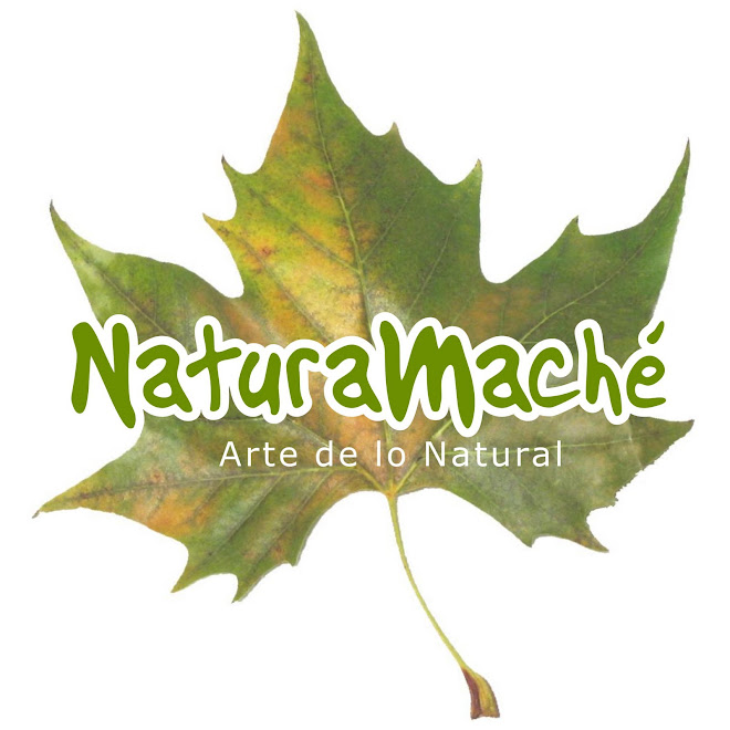 Natura Maché "Arte en Papel Maché"