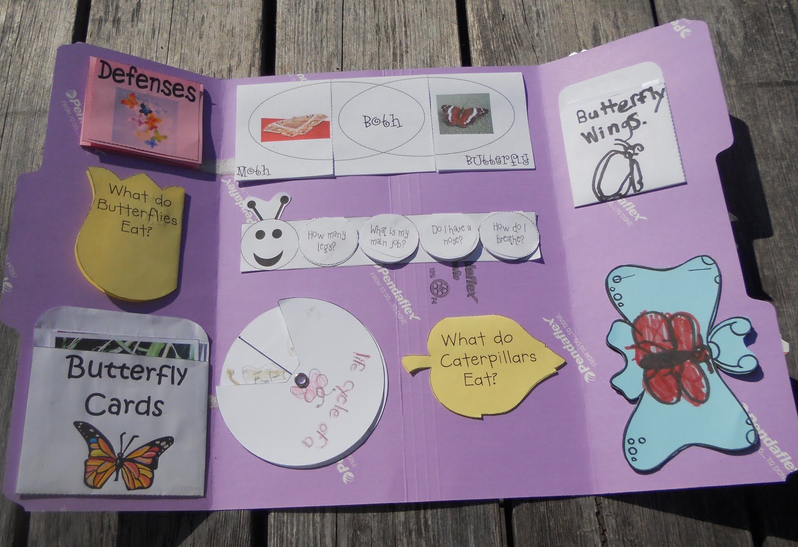 The Five of Us Butterfly Lapbook