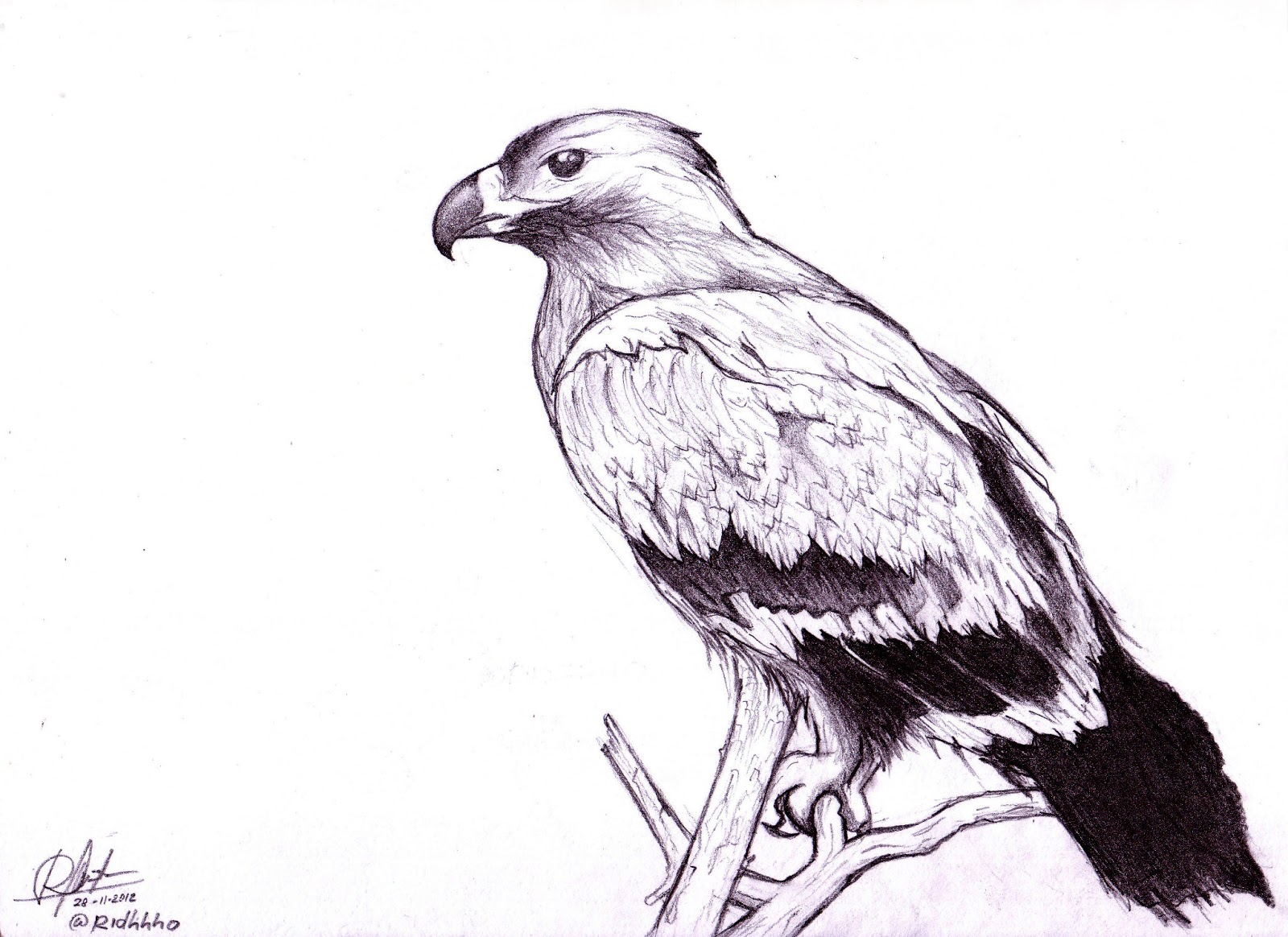 RIDHO ART: BELAJAR MENGGAMBAR