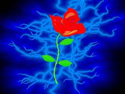 Auszeit Bio Sprichwortsammlung Achtsamkeit Extemporio