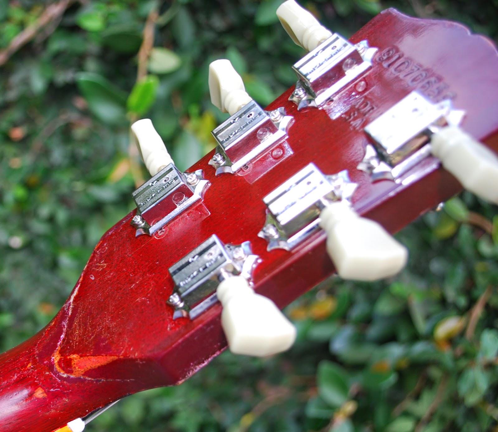 Rex and the Bass Success Story Long Beach Guitar Repair to the Rescue