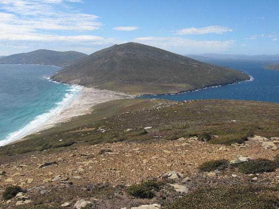 saunders-island-falkland.jpg