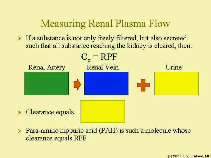 USMLE COMLEX Study Guides First Aid Renal Physiology Part 1