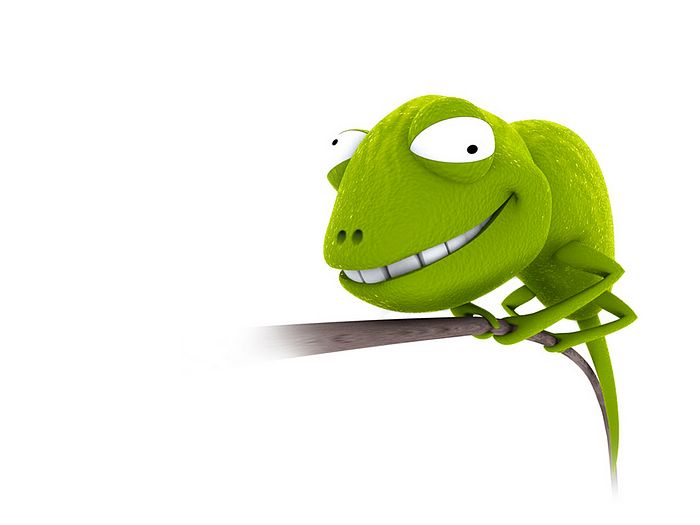 It's HD | Animals-Funny-Wallpapers: funny animal cartoons