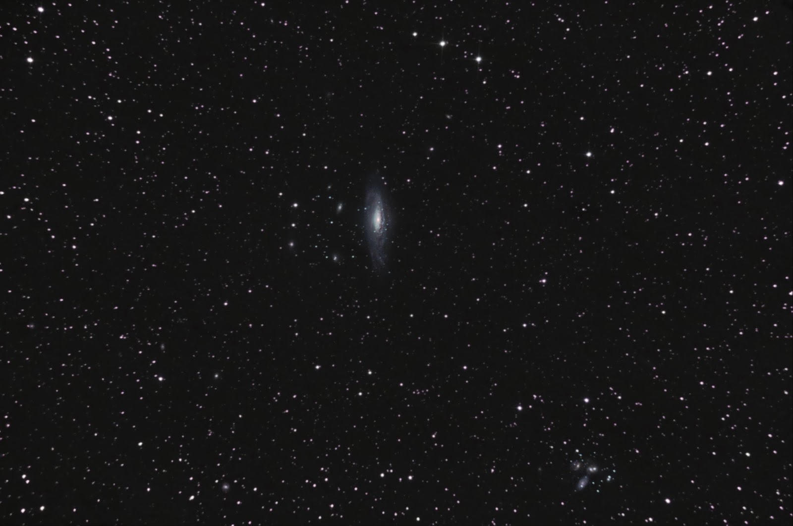 Star Gazing A collection of Galaxies around Pegasus