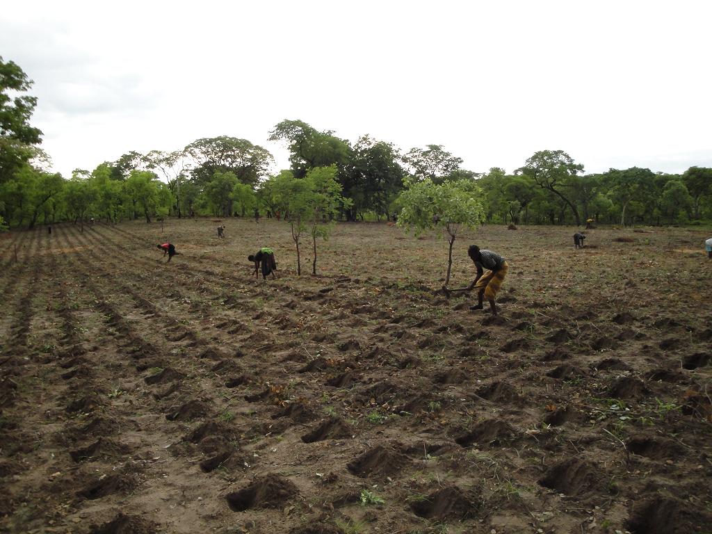 My rant if the day Page 4 Forums