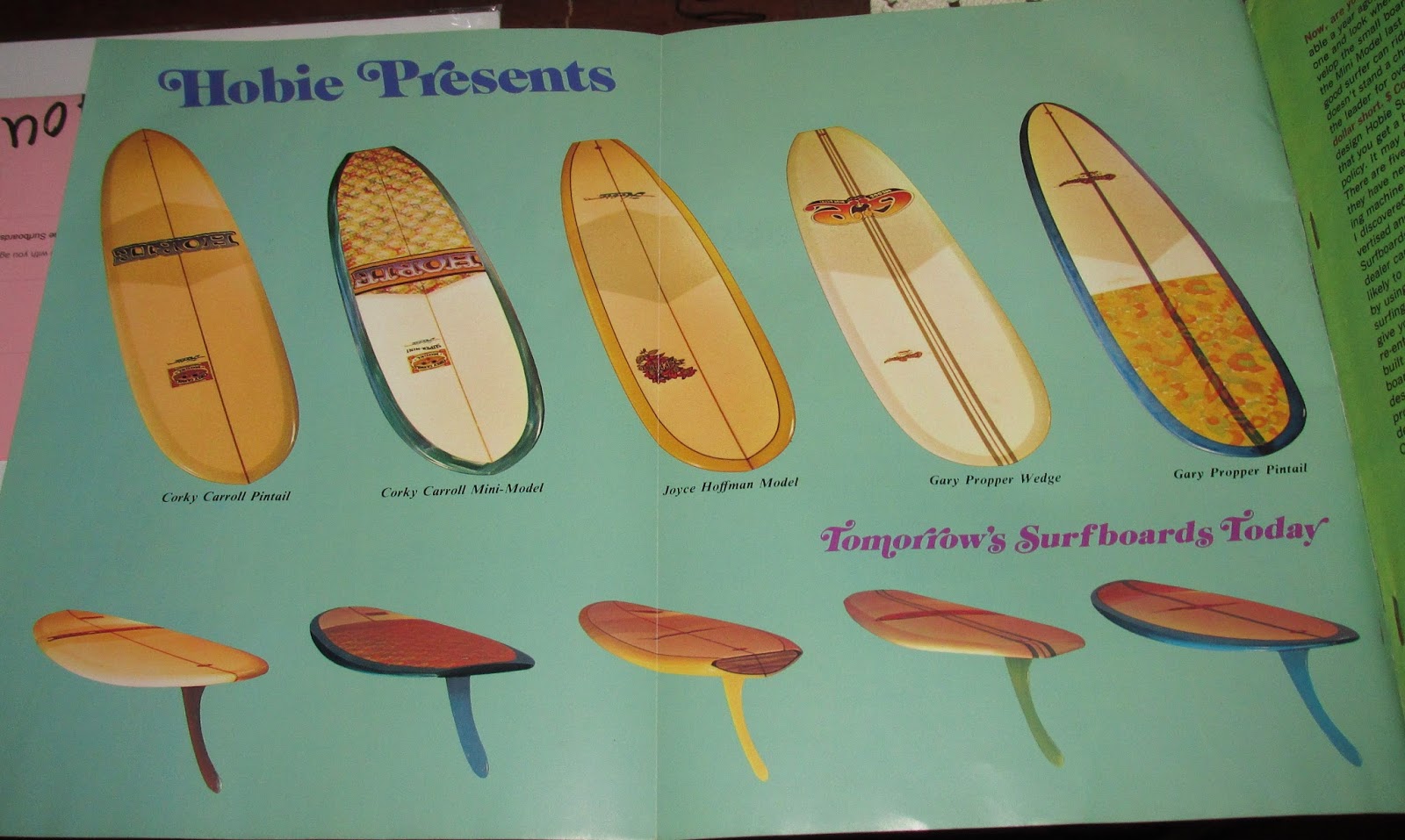 Breakwater Road Hobie Surfboards Summer lineup