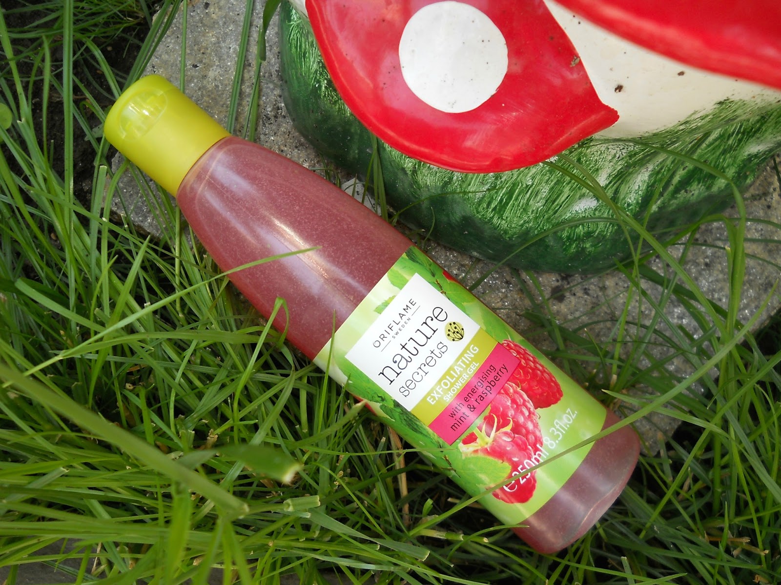 oriflame nature secrets exfoliating shower gel with oriflame nature secrets exfoliating shower gel with