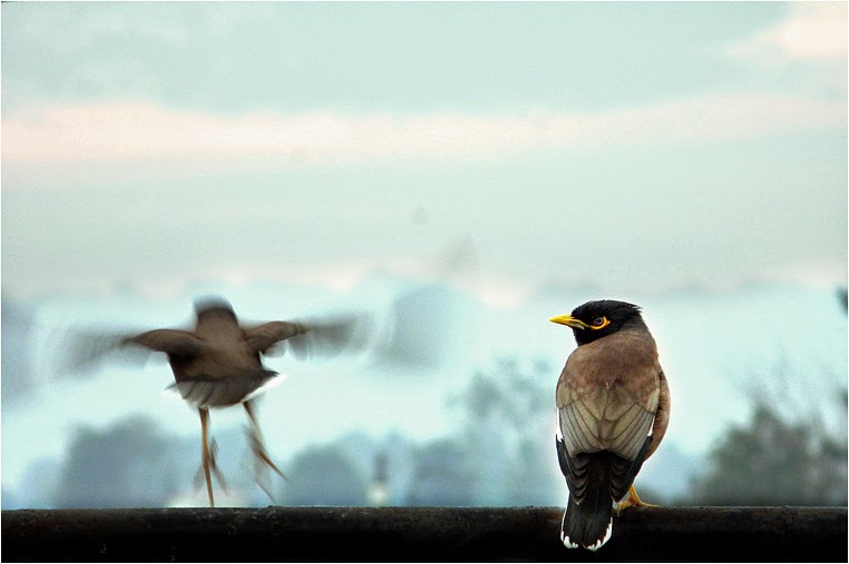 Compact Camera, Best Photo of the Day in Emphoka by Deepak (Busy), Nikon Coolpix L110, https://flic.kr/p/joD2j6 Compact Camera, Best Photo of the Day in Emphoka by Deepak (Busy), Nikon Coolpix L110, https://flic.kr/p/joD2j6