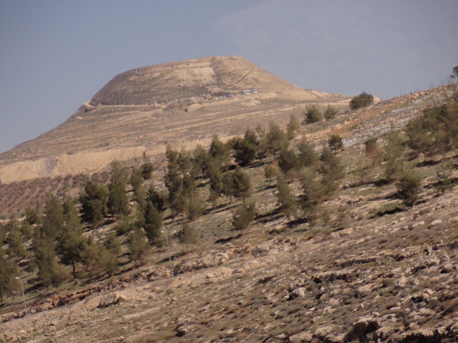Trekking Student Judean Countryside