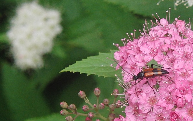 Jahreszeitenbriefe Page 9 Chan 38911623 Rssing Com