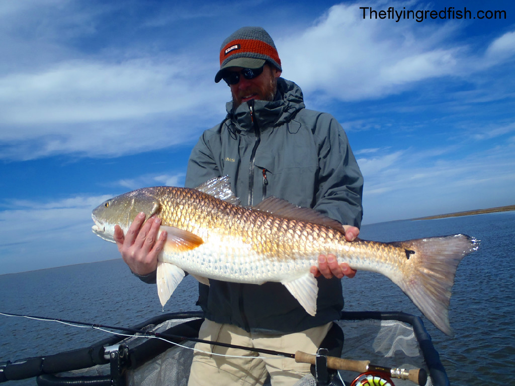Redfishing Louisiana A Guides Journey January Hopedale Redfish Report