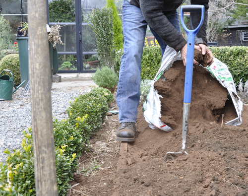 30 Best Green Garden Images Plants Live Plants Green Garden