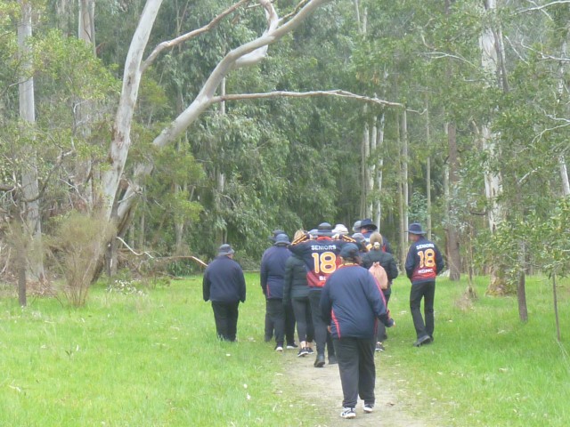 Beautiful Kuitpo Forest