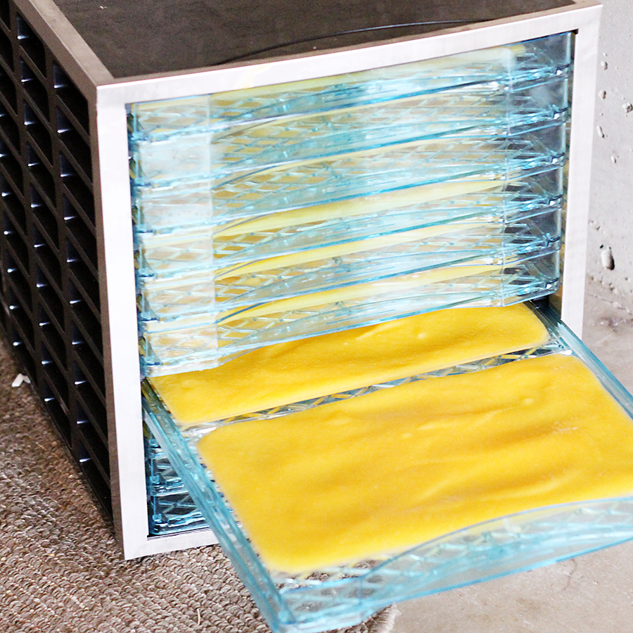 the climb Homemade Fruit Leather