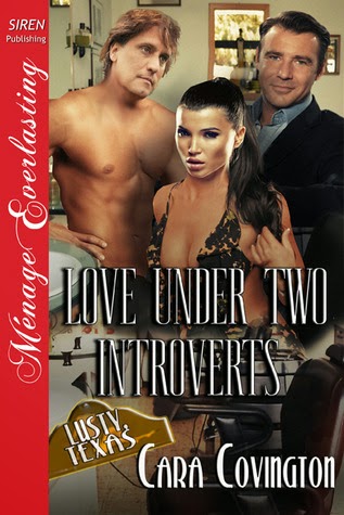 https://www.goodreads.com/book/show/22063370-love-under-two-introverts