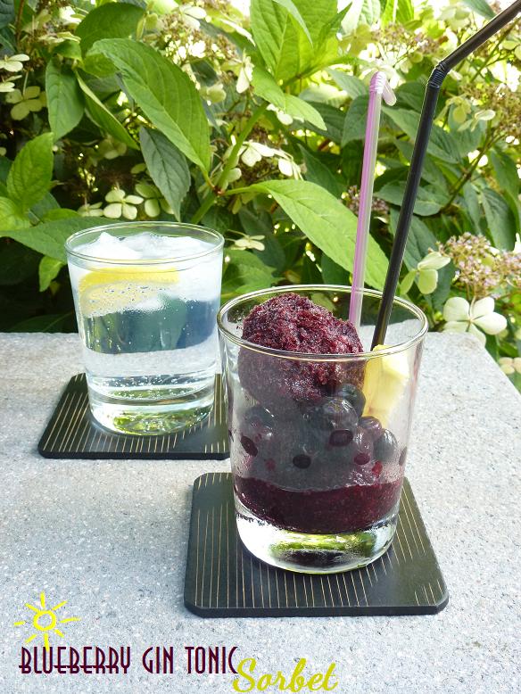 Raquel's Kitchen english version Blueberry Gin Tonic Sorbet
