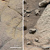 Marte abitabile in passato, incredibili risultati raccolti dal rover Curiosity